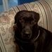 John Gearin - Facebook