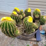 John Geis - @jfgeis - Instagram