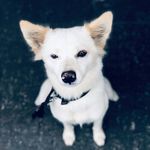 John - @john.general - Instagram