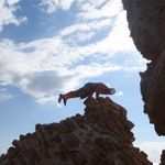 John Whitfield - @johngenevajohn - Instagram