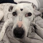 John Georgopoulos - @rusty_4_eye - Instagram