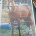 Johnabe Gerbrandt - Facebook