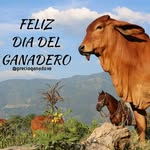 John geronimo Perez magallanes - @johngeronimoperez - Instagram