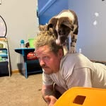 John Gerring - @johngerring - Instagram