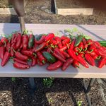 John Gervasi - @jpg7373 - Instagram