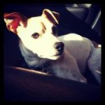 John Gianforte - @jgianforte7 - Instagram