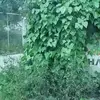 johngianni50 - @johngianni50 - TikTok