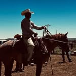 John Gies - @john_gies - Instagram