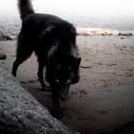 John Gilger - @jdg681 - Instagram