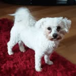 John Gilgunn - @johngilgunn - Instagram