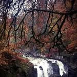 John Stephen Gilhooley - @john.gilhooley - Instagram