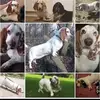 John Gilling - @john.gilling8 - TikTok