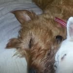 John Gillingham - @johngillingham01 - Instagram