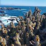John Gilmer - @bagel_person_4000 - Instagram