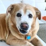 John Gilmer - @johngilmer - Instagram
