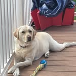 Gilly4315 - @gilpatrick.john - Instagram