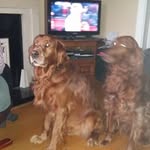 John Giltrap - @johngiltrap - Instagram