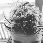 John Gimbel - @imjohngimbel - Instagram