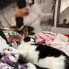 Madeline - @johngingerbread - TikTok