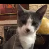 Johnny Ginnetti - @jg061080 - TikTok