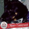 John Giove - @30201097193 - TikTok