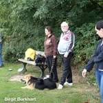 John Girdler - @girdlerjohn - Instagram