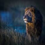 John.  g'ish - @john._gish - Instagram