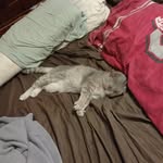 john Gladstone - @johngladstone6665 - Instagram