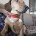 John Glaister - Facebook