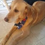 John Glaze - @john.glaze.3 - Instagram
