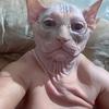 JohnyyGlaze - @johnyyglaze - TikTok