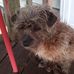 John Glisson - Facebook