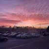 John Gloss - @johngloss - TikTok