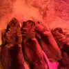 John Glossop - @john.glossop - TikTok