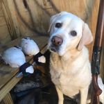 John Goble - @johngoble00 - Instagram