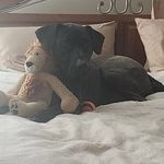 John Goffredo - @john.goffredo11 - Instagram