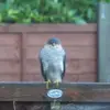 John Golder758 - @johngolder369 - TikTok