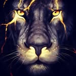 lil john - @johngoldwire3 - Instagram