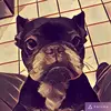 John Golly - @john.golly - TikTok