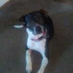 John Goltz - @jgoltzjr - Instagram