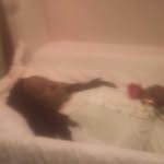 johngoodbread - @johngoodbread4225 - Instagram