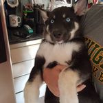 John Goodrow - @j.goodrow - Instagram