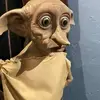 John Goodwin 🐶🍿🍩🍱 - @john.goodwin97 - TikTok
