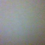 John Google - @gogobackflip - Instagram