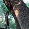 johngordon312 - @johngordon312 - TikTok