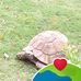 John Gori - Facebook