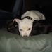 John Gott - Facebook