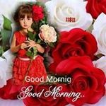 John Goyal - @goyal.john - Instagram