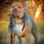 John Gradwell - @john.gradwell.581 - Instagram