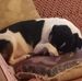 John Graf - Facebook